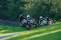brands-hatch-photographs;brands-no-limits-trackday;cadwell-trackday-photographs;enduro-digital-images;event-digital-images;eventdigitalimages;no-limits-trackdays;peter-wileman-photography;racing-digital-images;trackday-digital-images;trackday-photos
